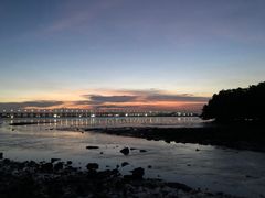 -宝安西湾红树林湿地公园