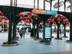 -海合安成都极地海洋公园