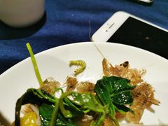 -阿斯牛牛·凉山菜(新会展店)