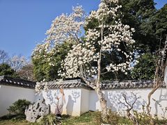 -无锡梅园公园