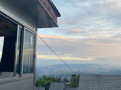 -南山植物园