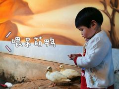 -昆明大悦城未来动物城(螺蛳湾中心店)