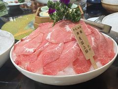 美国上脑-中苑海韵