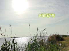 -漕湖湿地公园