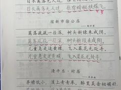 -赵汝飞练字硬笔书法(大钟寺校区)