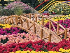 -上海共青森林公园