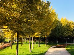 -国御温泉度假小镇