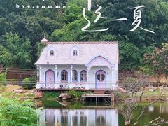 -大塘金香草谷