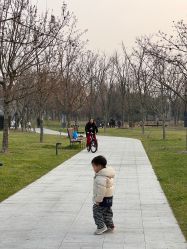 点击看大图 -季高兔窝窝亲子园(上海薰衣草公园店)