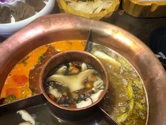 -老诚一锅羊蝎子(黄寺大街店)