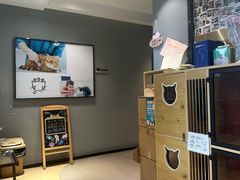 -御宝贝·A梦猫科宠物医院(国际猫友好医院)