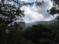 -大埔公路-马料水段香港中文大学(公交站)