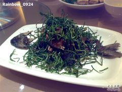 鱼-新南华大酒店(广中店)