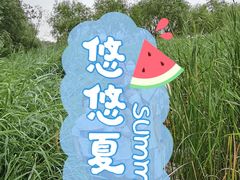 -永定河休闲森林公园