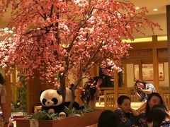 -大江户·温泉洗浴(浑南店)