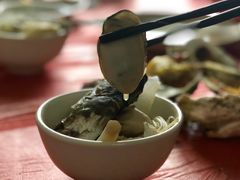 白灼生蚝-蚝乡农庄(铁涌赤岸店)