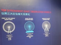 -新加坡摩天观景轮