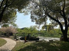 -无锡梅园公园