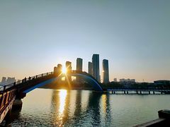 -五缘湾湿地公园