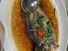 清蒸游水龙趸-东海海鲜酒家(中信广场店)