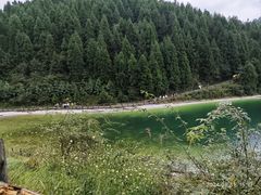 -武陵山森林公园