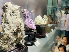 -湖南省地质博物馆