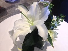 iphone_upload_pic-仁恒美食庭苑