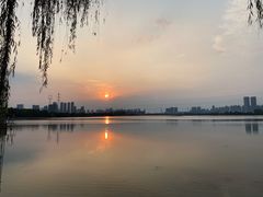 -金银湖国家城市湿地公园