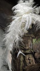 -Zoolung Zoolung动物主题公园(海信广场店)