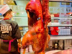-日日香卤鹅饭店·澄海狮头鹅(澄海店)