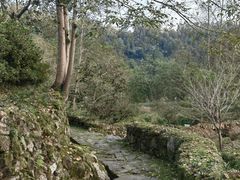 -唐崖土司城遗址