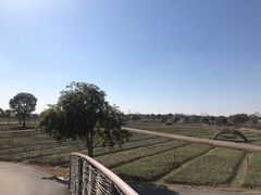 -上海杨姆庄园