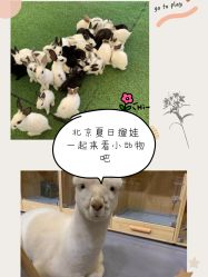 -萌宠亲子动物乐园(槐房万达店)