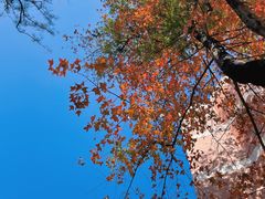 -中山大学（南校区）-英东游泳场