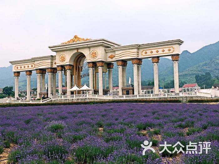 曲江薰衣草庄园景点图片 - 第12张