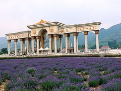 景点-曲江薰衣草庄园