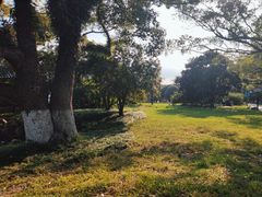 -江心屿景区