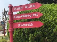-养马岛旅游度假区