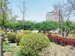-傅家庄公园