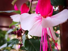 -南通洲际绿博园