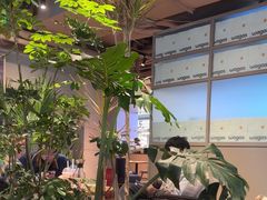 -Wagas沃歌斯(北京君太百货店)