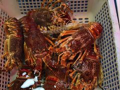 -锦绣大地生鲜食品厅(巨山路店)