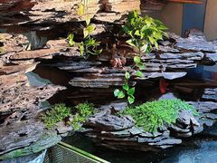 -山水茶艺馆·点心粤菜·30年老字号