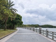 -海珠湖公园