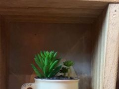 -茶去咖啡屋(武侯祠店)