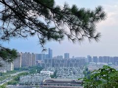 -临平公园(临平街道)
