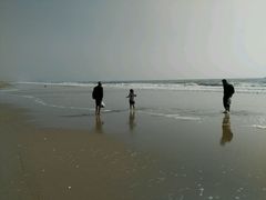 -钱大妈海鲜饭店(保利林语店)