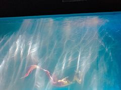 -常州海昌海洋探索馆