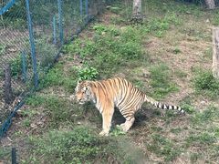 -大连森林动物园