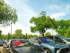 -野生动物园-停车场